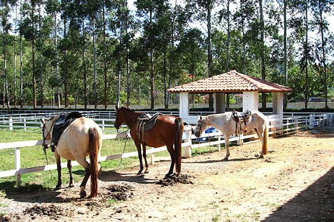 Resort Recanto Do Teixeira All Inclusive Nazare Paulista Exterior photo